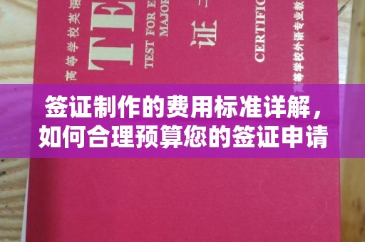 中国香港签证制作的费用标准详解，如何合理预算您的签证申请成本